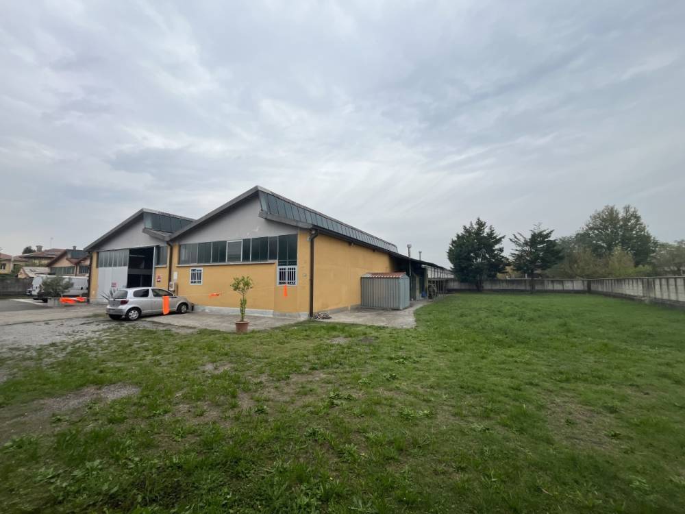 immagine annuncio 12 di 13