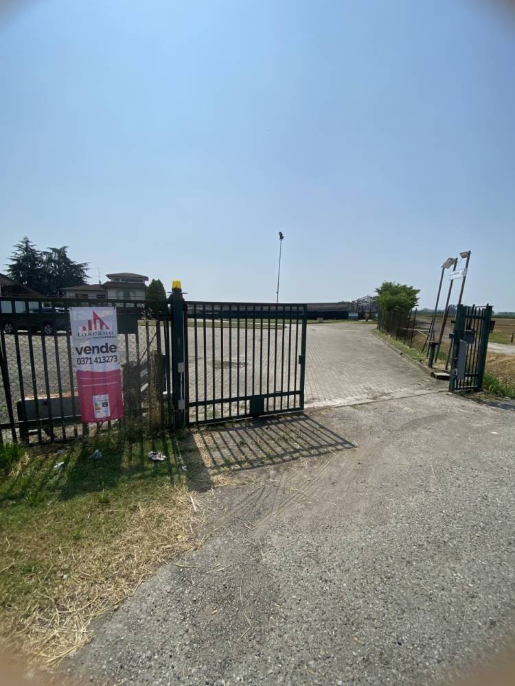 immagine annuncio 1 di 11