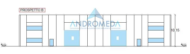 immagine annuncio 3 di 11