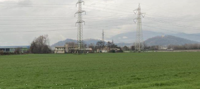 immagine annuncio 6 di 13