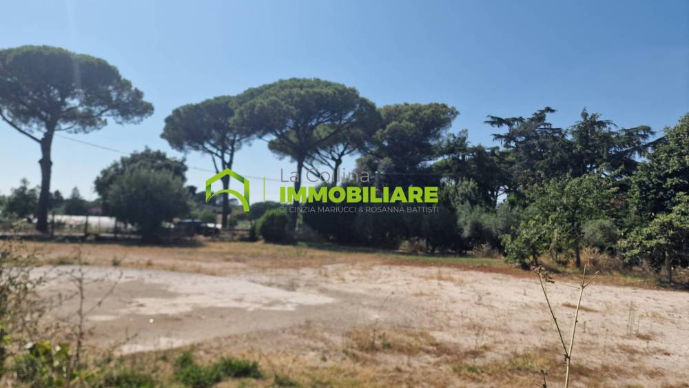 immagine annuncio 1 di 8