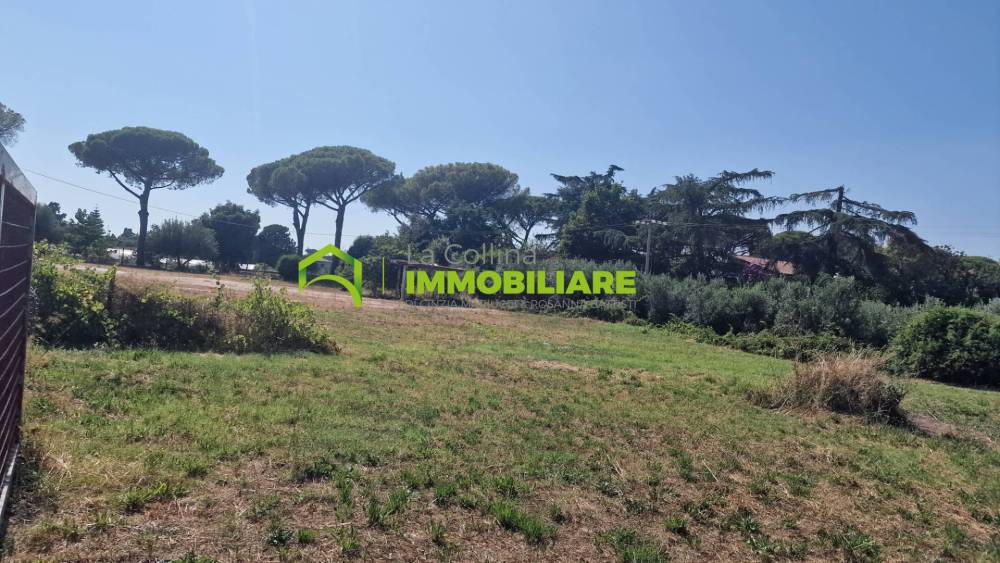 immagine annuncio 3 di 8