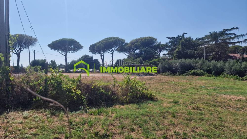 immagine annuncio 5 di 8