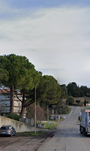 immagine annuncio 2 di 13