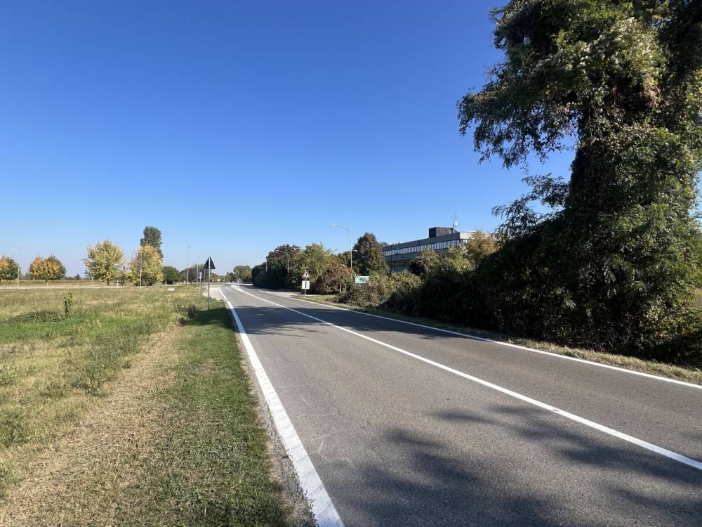 immagine annuncio 2 di 13