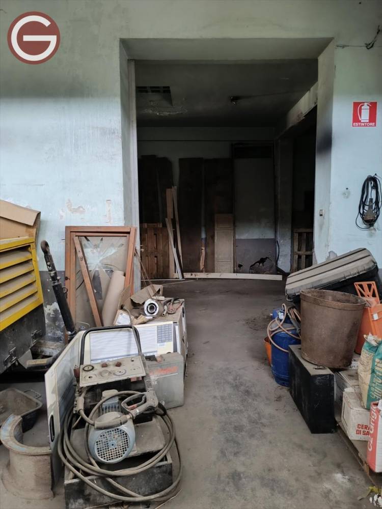 immagine annuncio 1 di 13