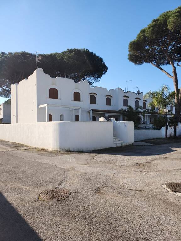 immagine annuncio 1 di 13