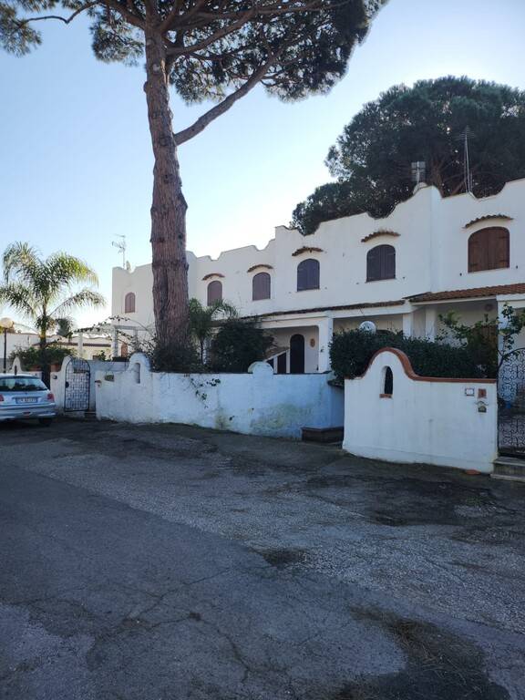 immagine annuncio 2 di 13