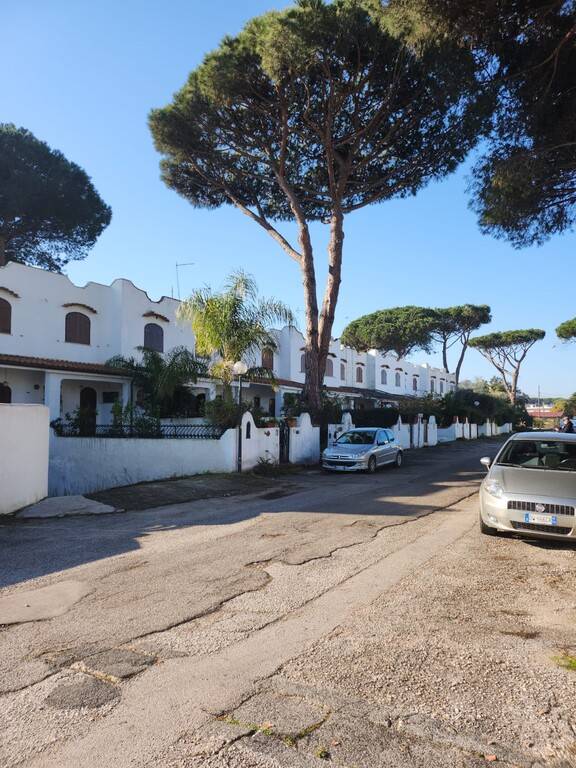 immagine annuncio 4 di 13