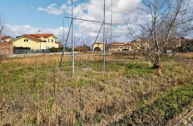 immagine annuncio 1 di 13