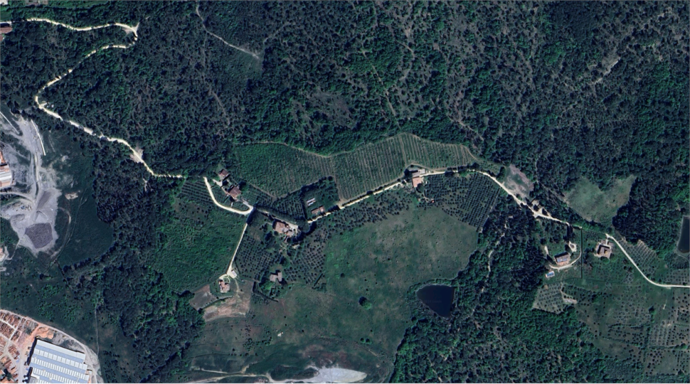 immagine annuncio 2 di 13