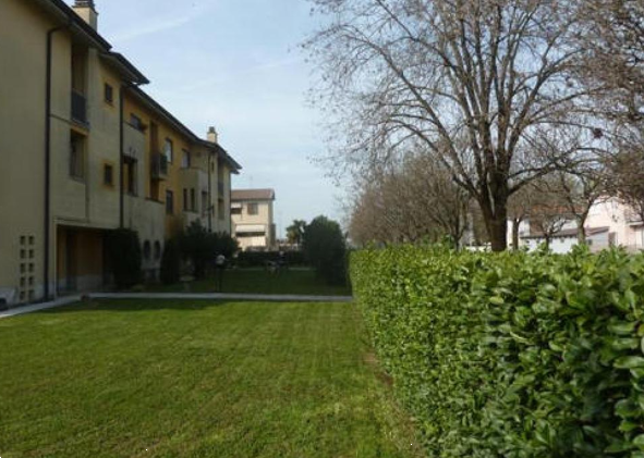 immagine annuncio 4 di 13