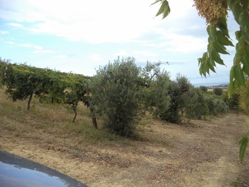 immagine annuncio 6 di 13