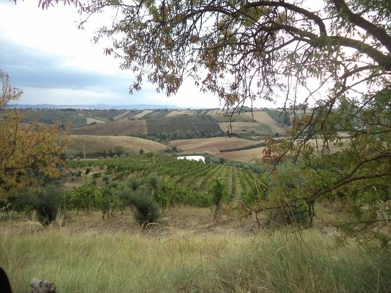 immagine annuncio 8 di 13