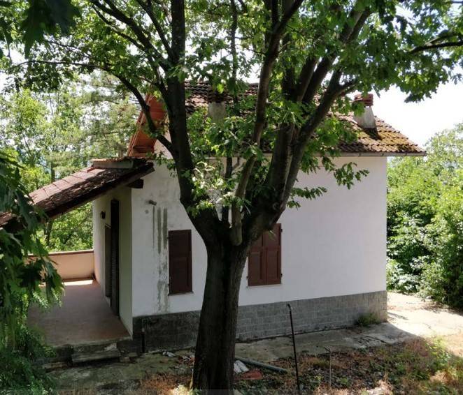 immagine annuncio 5 di 6