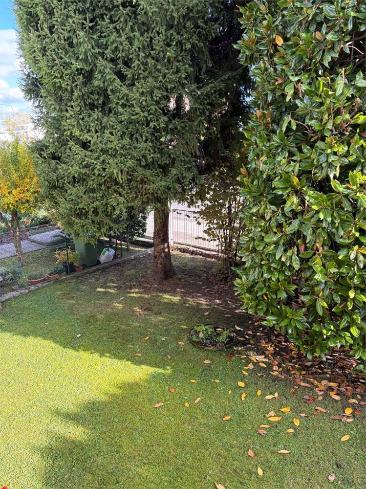 immagine annuncio 4 di 14