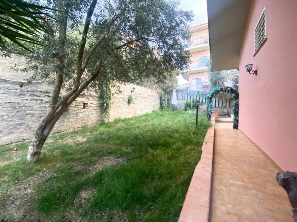 immagine annuncio 6 di 13