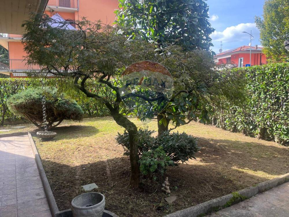 immagine annuncio 6 di 13