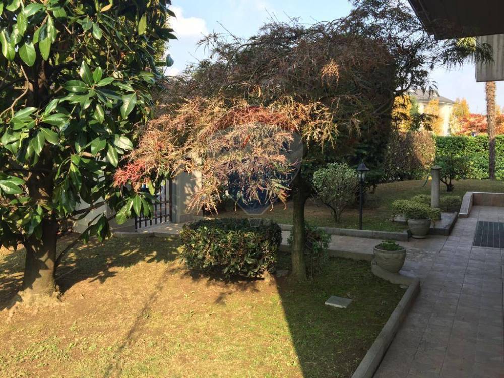 immagine annuncio 2 di 13