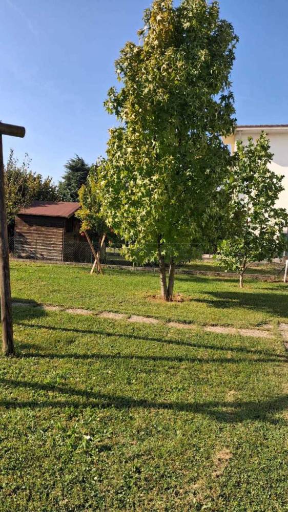 immagine annuncio 12 di 13