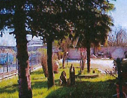 immagine annuncio 8 di 13