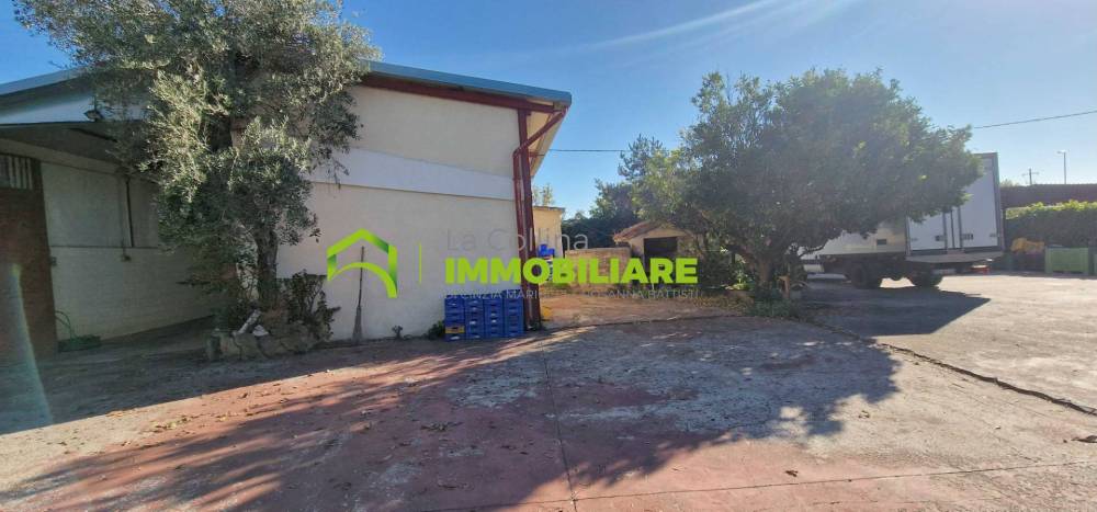 immagine annuncio 1 di 8