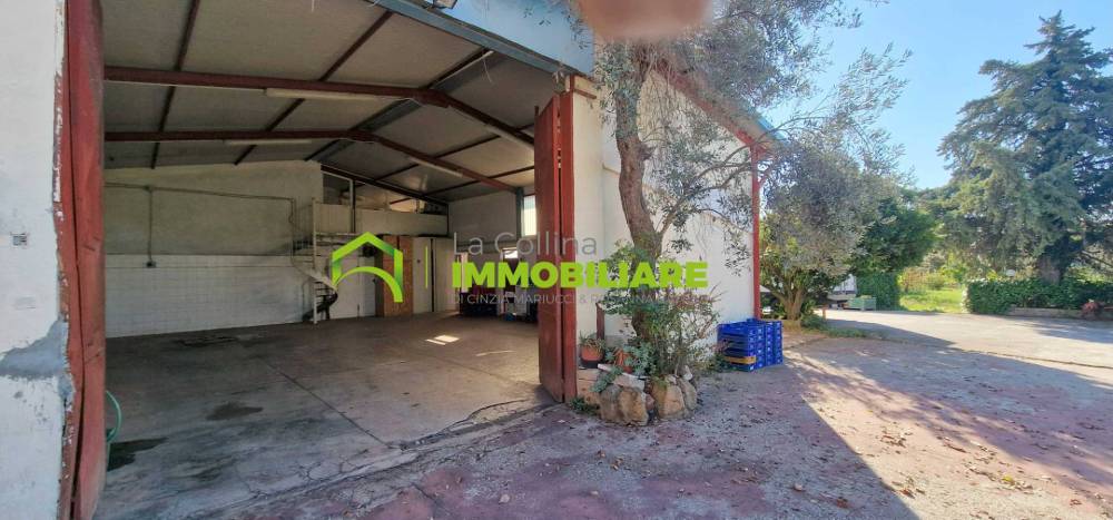 immagine annuncio 3 di 8