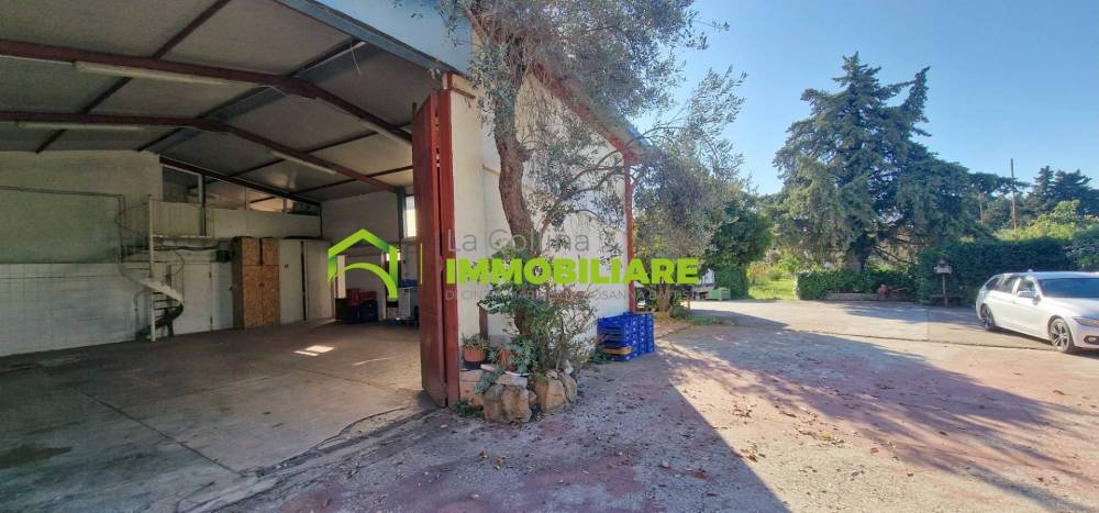 immagine annuncio 4 di 8