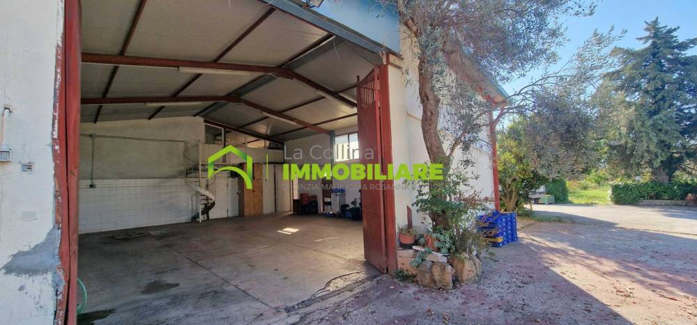 immagine annuncio 5 di 8