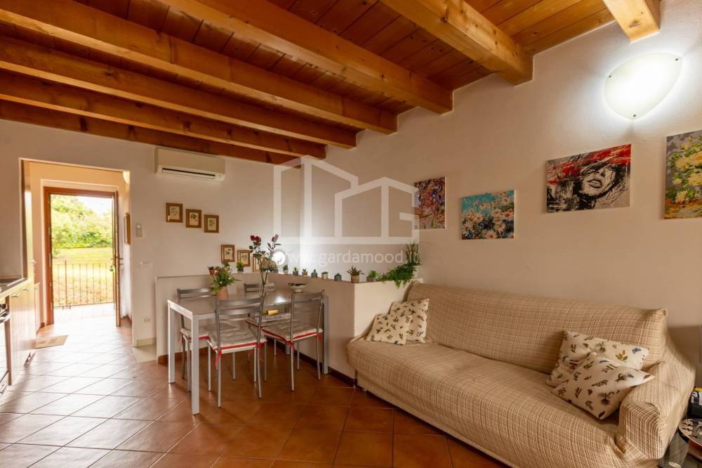 immagine annuncio 9 di 13