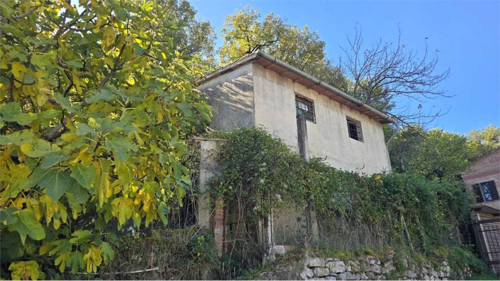 immagine annuncio 4 di 13