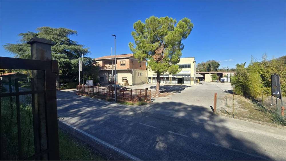 immagine annuncio 10 di 13