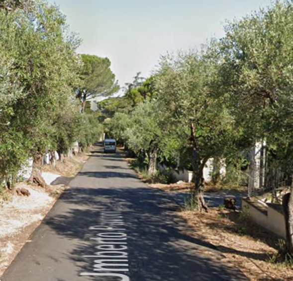 immagine annuncio 4 di 13