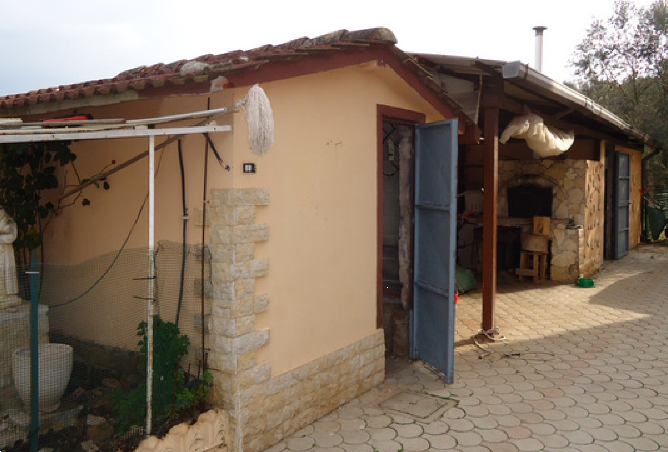 immagine annuncio 4 di 13