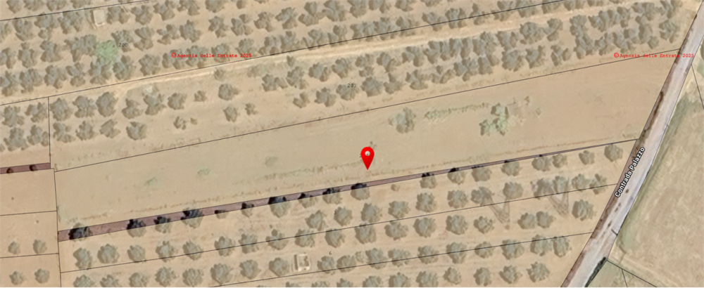 immagine annuncio 3 di 6