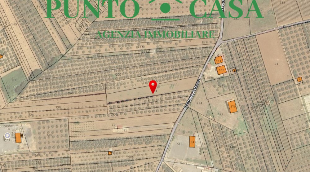 immagine annuncio 4 di 6