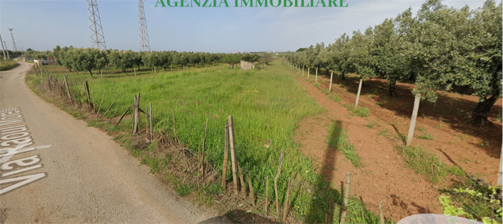 immagine annuncio 2 di 6