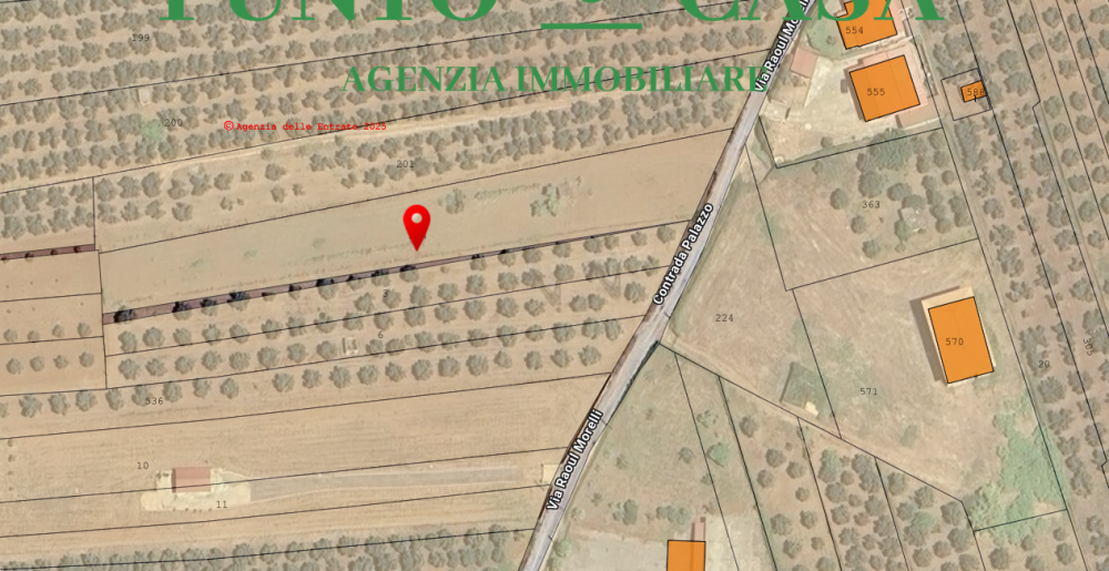 immagine annuncio 5 di 6