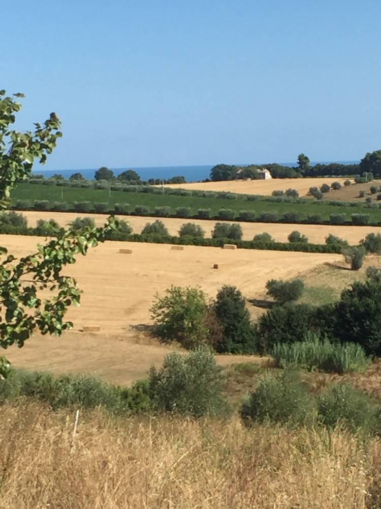 immagine annuncio 3 di 13