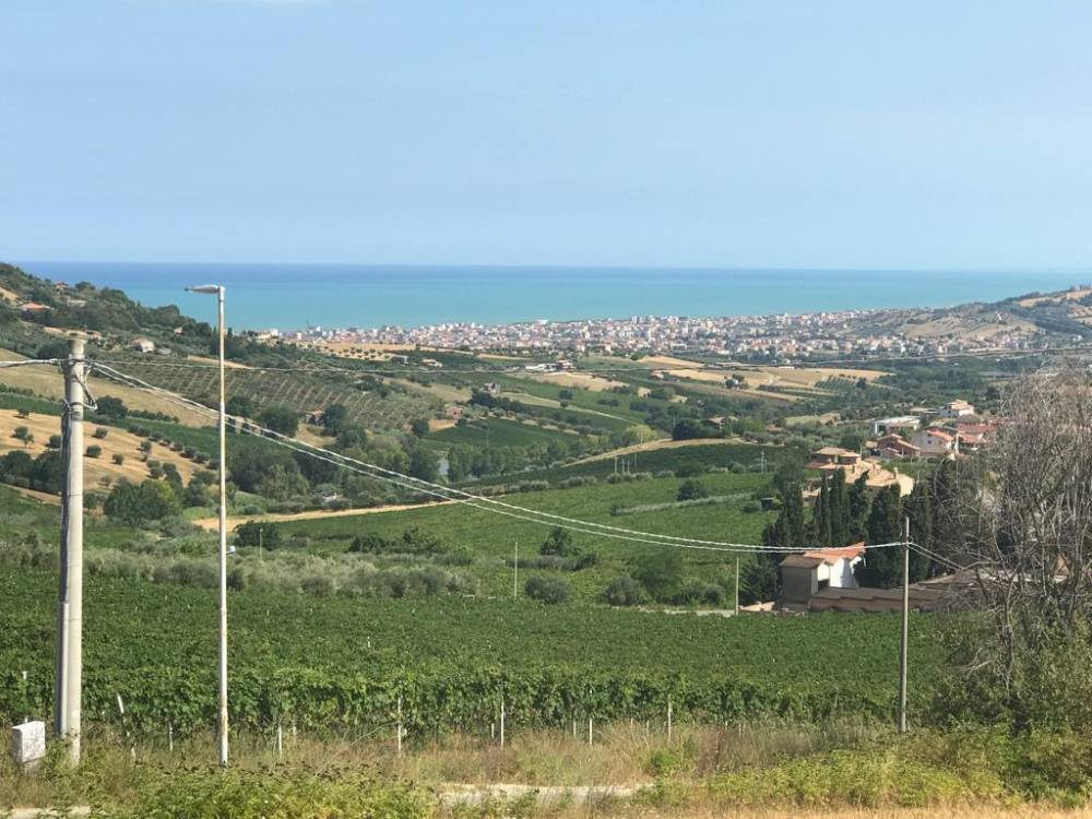 immagine annuncio 9 di 13