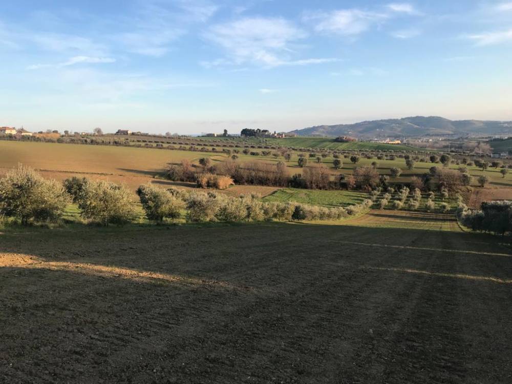 immagine annuncio 10 di 13