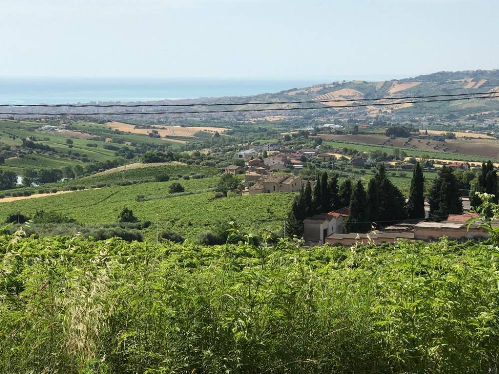 immagine annuncio 11 di 13