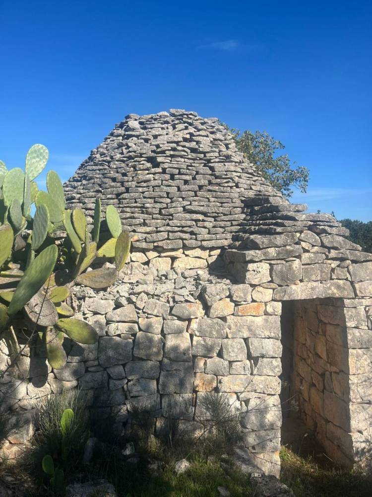 immagine annuncio 4 di 13