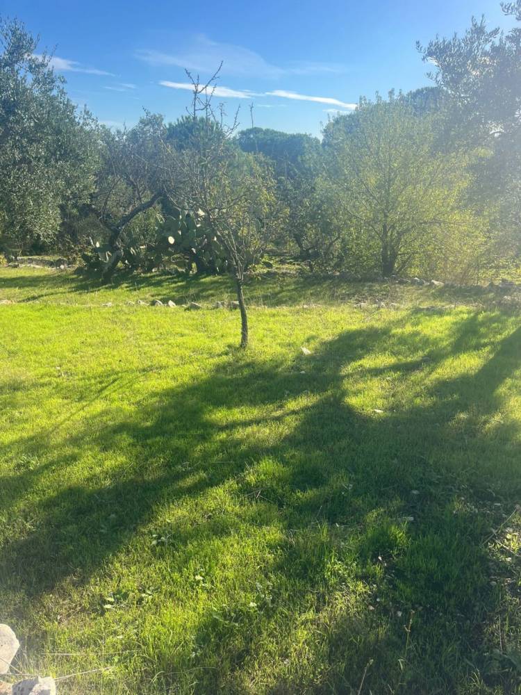 immagine annuncio 7 di 13