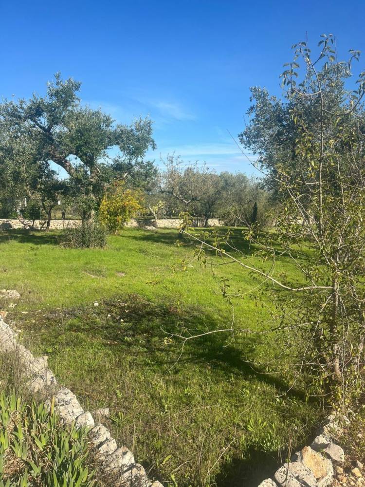 immagine annuncio 12 di 13