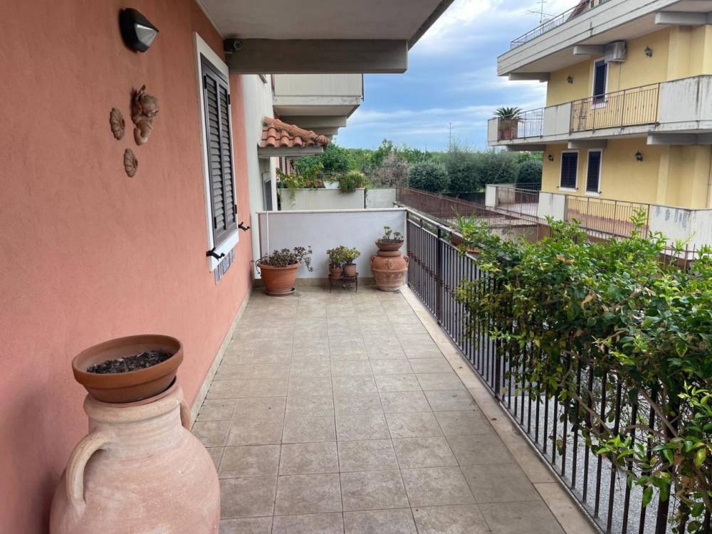 immagine annuncio 9 di 13