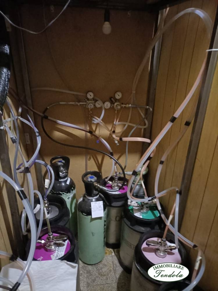 immagine annuncio 6 di 7