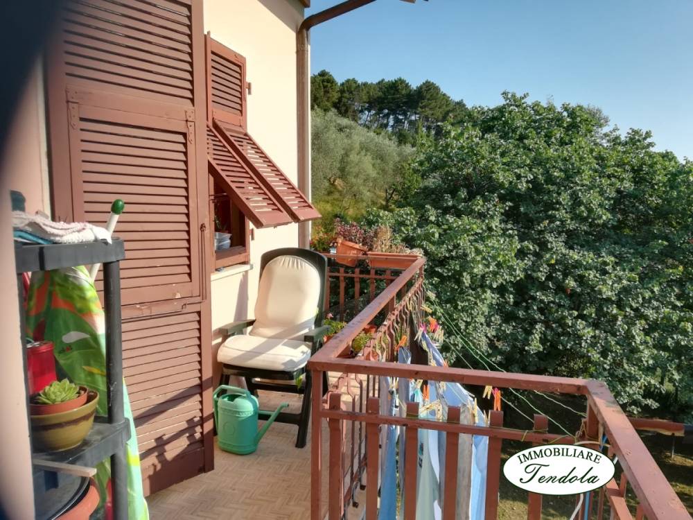 immagine annuncio 6 di 9