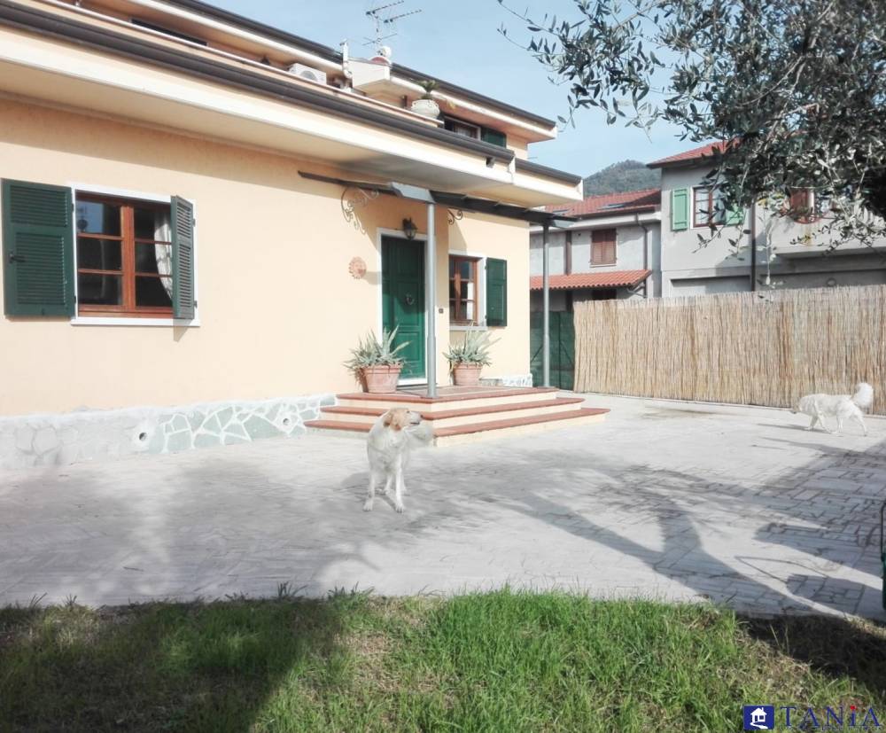 immagine annuncio 2 di 9