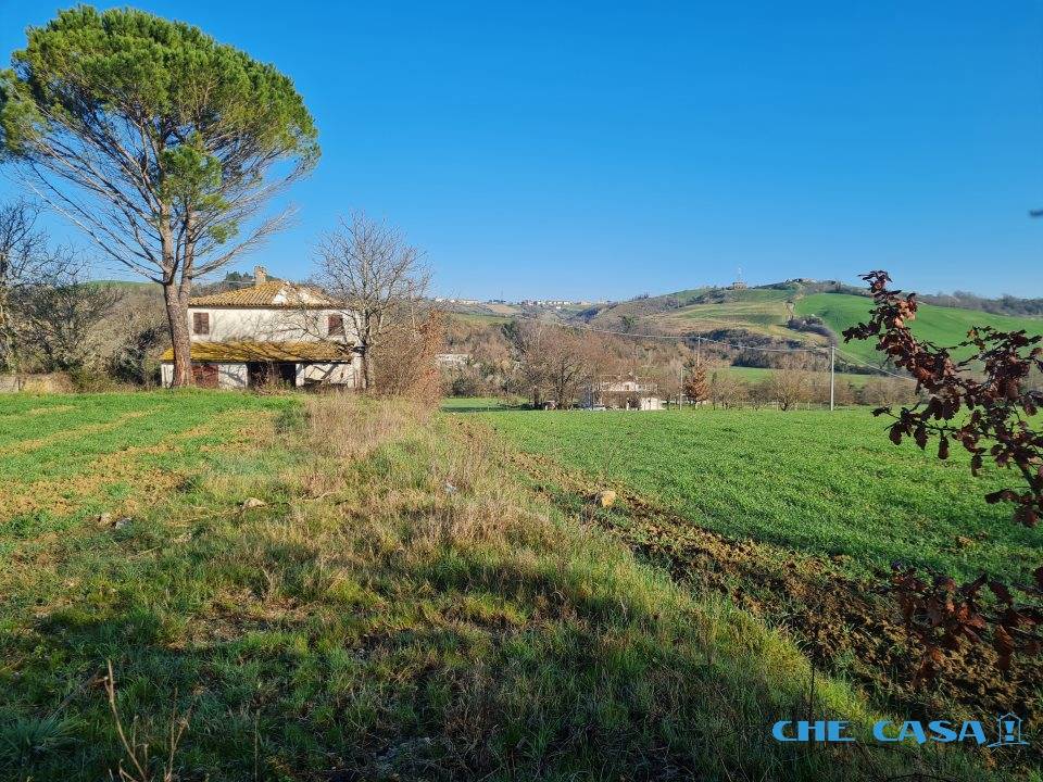 immagine annuncio 1 di 9